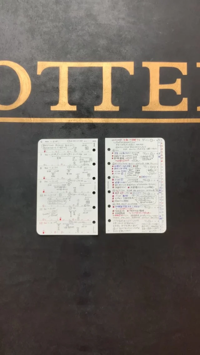 You are a PLOTTERの皆さんにダイアリーリフィルの使い方をお聞きしました！
有益な情報たっぷりです！

#plotter_life #youareaplotter