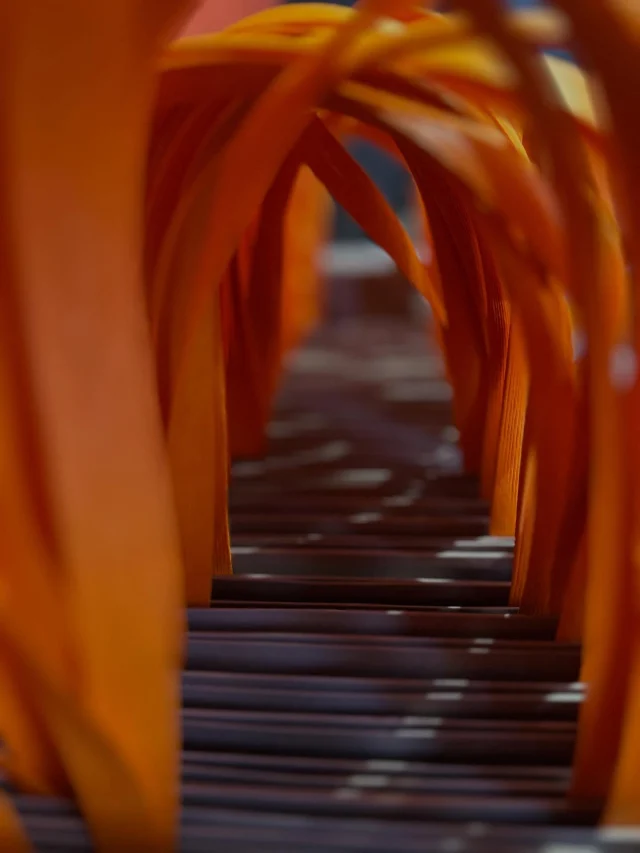 Finding PLOTTER TOKYO / Vol.01

いつもの風景も、視点を少し変えるだけで、全く新しい発見があります。私たちが大切にしている素材の質感、
空間を構成するディテール。その断片をズームアップしてお届けします。

さて、この一枚。

PLOTTER TOKYO店内の、どの場所か分かりますか？
分かった方は、ぜひコメント欄で教えてください。
今度お店にいらした際は、答え合わせも楽しんでみてくださいね。

Even familiar scenes reveal entirely new discoveries with just a slight shift in perspective.
The textures of materials we cherish,
the details that compose a space.
We zoom in on these fragments to share them with you.

Now, this one image.

Can you guess where in the PLOTTER TOKYO store this was taken?
If you know, please share your answer in the comments section.
Next time you visit the store, enjoy checking your answer too.
.
.
.
.
.
.
.
.
#FindingPLOTTERTOKYO
#PLOTTERTOKYO #PLOTTER
#プロッター #プロッター東京