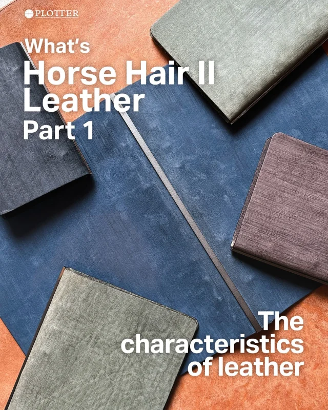 【ホースヘアーⅡとは？】

革の聖地・姫路から届いた、
純国産レザー「ホースヘアーⅡ」

日本の職人が一枚一枚、丁寧に作り上げたこの革
馬の毛並みを模したラインが 光の角度によって、様々な表情を見せてくれます 

イタリアンレザーの魅力とは一味違う、
凛とした、スマートな佇まい

「日本人の手仕事」が生み出す緻密で美しい表情は、
１度手にしたら虜になること間違いなしです

#plotter_life
#what_is_plotter