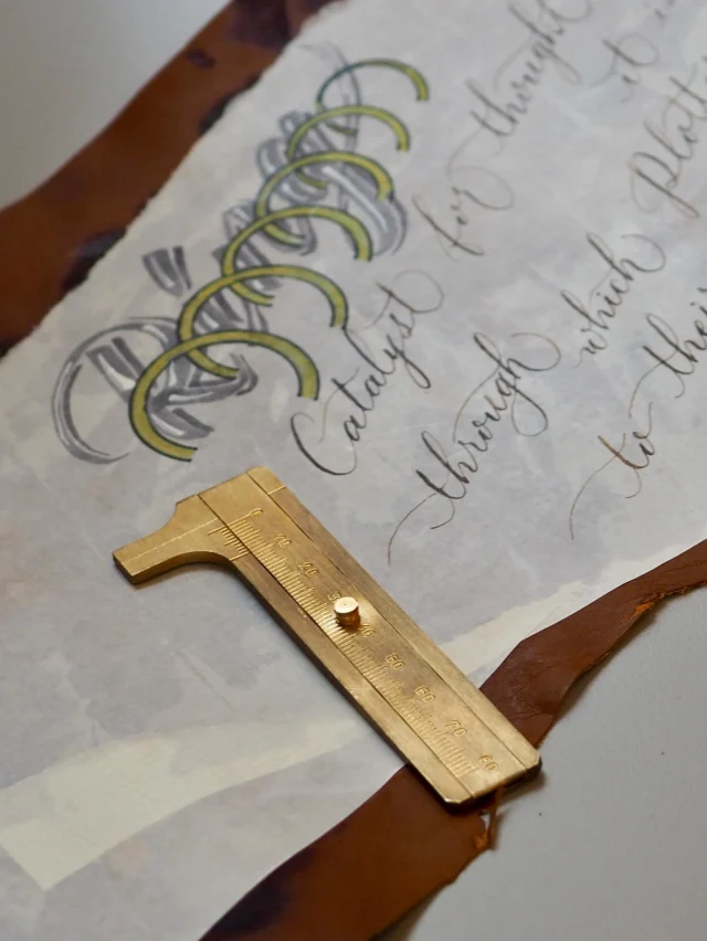 【その1mm、気になったことありませんか? 】

■スタッフK：
普段の生活の中周りにある革の厚みや、パーツのわずかな大きさなど気にしなくてもいいけれど、ふと「正確に知りたくなる」瞬間。
それが分かるだけで、思っている以上にすっきりするものです。

このミニノギスは、そのための道具です。
ちょっとした厚さ・深さまでしっかり測れるのに、手のひらに収まるサイズ。 そして、真鍮の重みと、滑らかなスライドの感触も心地いい。

PlotterのLeather card caseにぴったり収まるので、気づいたときにすぐ使える。 その場で測れるだけで、小さな曖昧さが残らなくなりました。
ほんの少しの変化ですが、 日常やものづくりの精度が自然と整っていく感覚があります。
気づけば手帳と一緒に持ち歩き、書く道具のそばに“測る道具”があるという、ささやかな安心感まで添えてくれる。
ただ便利なだけじゃなく、 自然と手元に置いておきたくなる一本です。

■紹介アイテム
真鍮定規ノギス　¥1,100（税込）

* 
* 
* 
* 
#plotter #plotter_ife #youareaplotter #プロッター